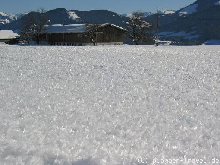 IMG 0964.JPG